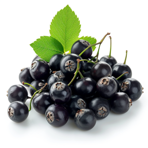 Jus concentré aronia 65° S/25 Kg