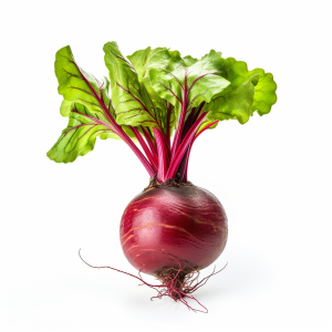 Jus concentré betterave Bio F/25 Kg