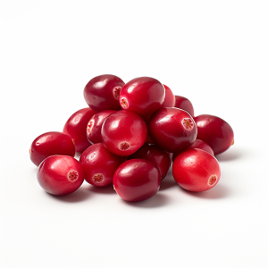 Purée aseptique canneberge S/20 Kg