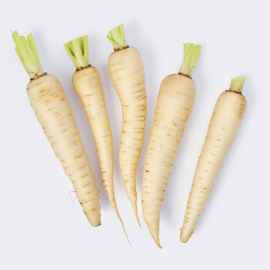 Purée carotte blanchie C/10 Kg