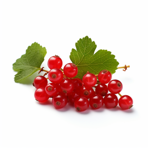 Groseilles rouges égrappées