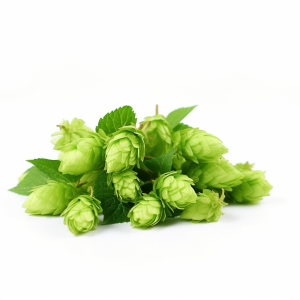 Houblon fleur séchée S/250 g