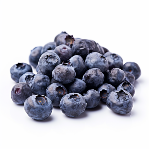 Purée aseptique myrtille Bio S/20 Kg