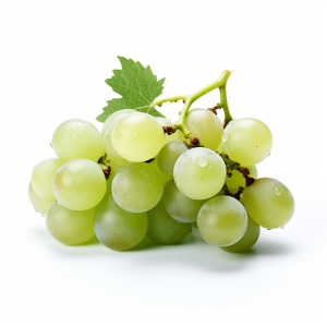 Jus concentré raisin blanc 65° clarifié S/25 Kg